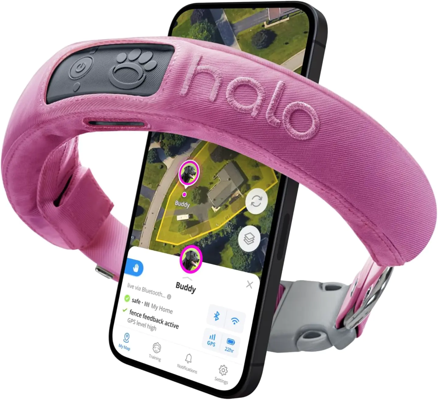 Halo Collar 3 - GPS Dog Fence
